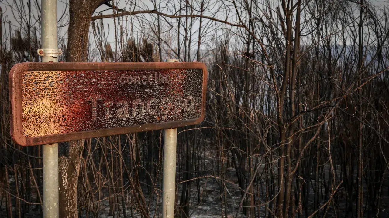 Fire complex Sátão/Trancoso goes into resolution
