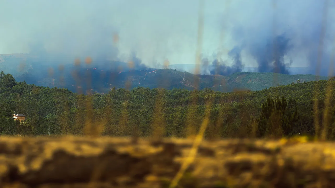 Fire controlled at Lomba in Gondomar