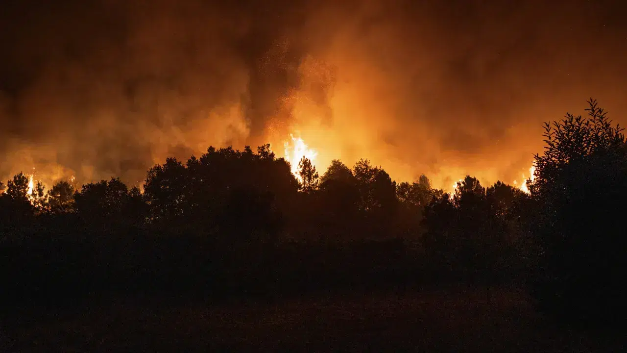 Fire controlled in the municipality of Nisa