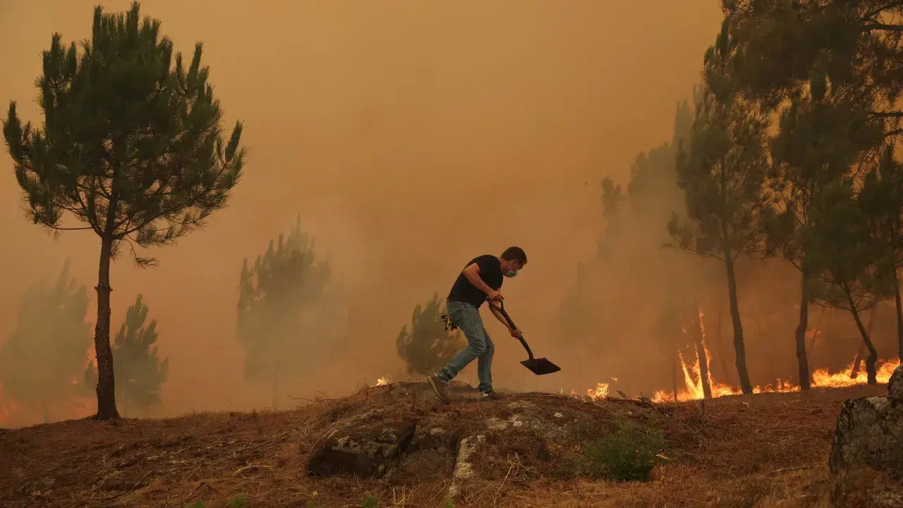 Fire front in Arganil in danger of reaching Pampilhosa da Serra