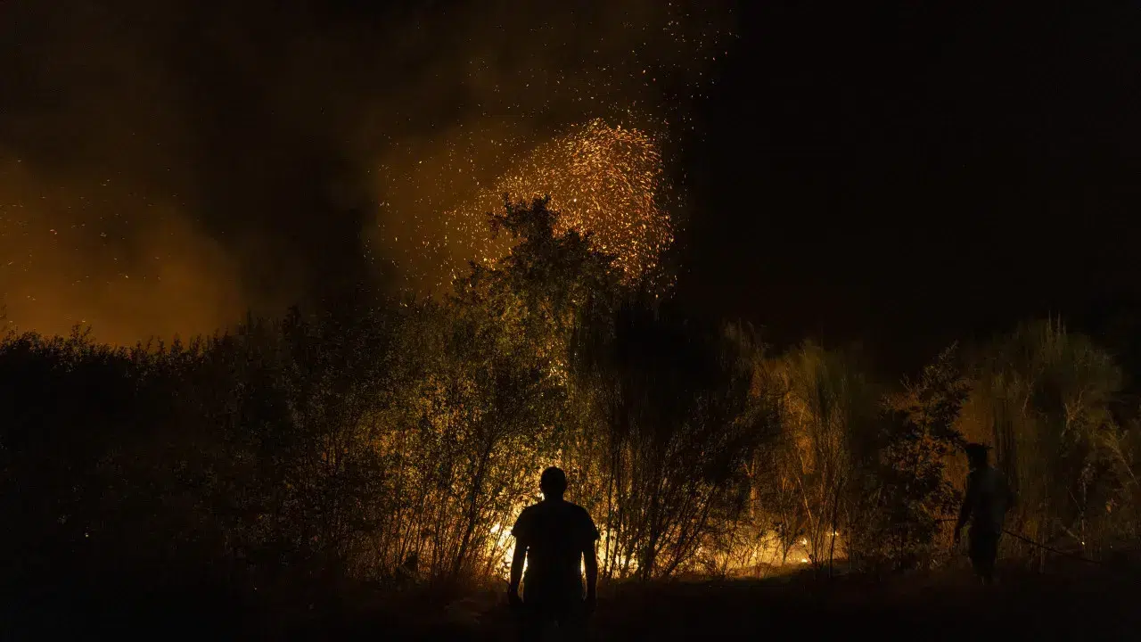 Fire in Carrazeda de Ansiães is already resolved.