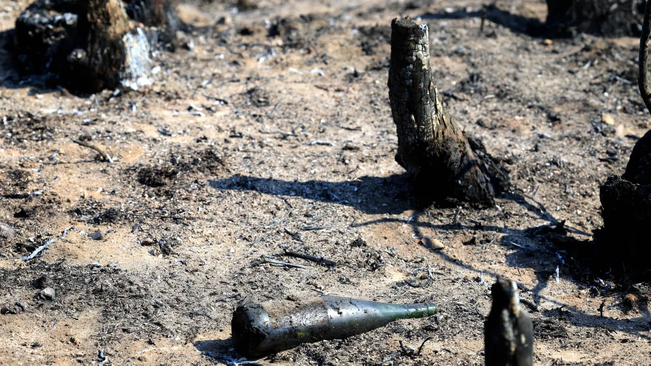 Fire in Celorico de Basto that spread to Amarante contained.