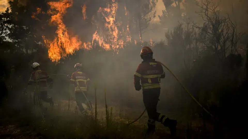 Fire in Covilhã destroyed two houses (and consumed 20,257 hectares)