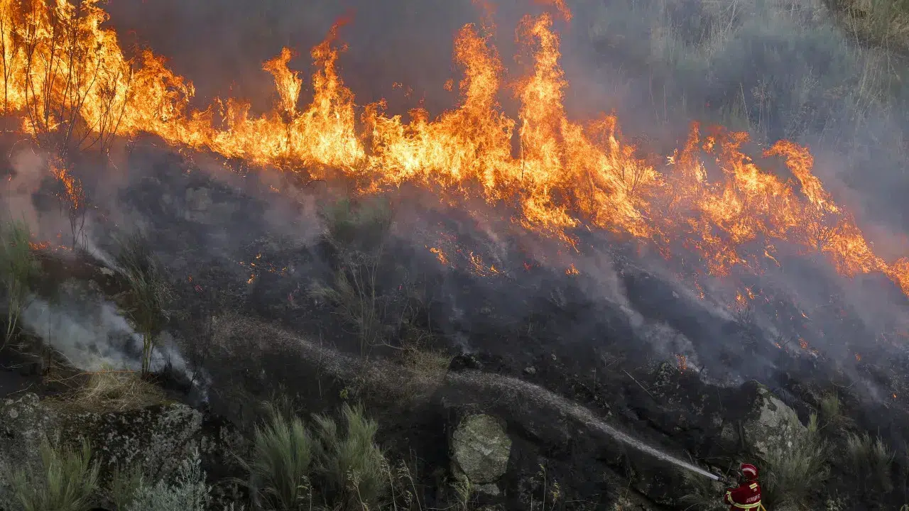 Fire in Ermidas-Sado is under control