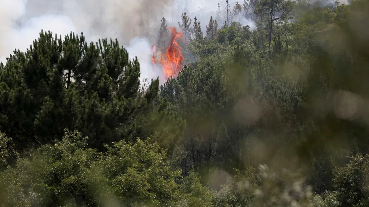 Fire in Leiria cuts off EN113. Wind complicates firefighting efforts.