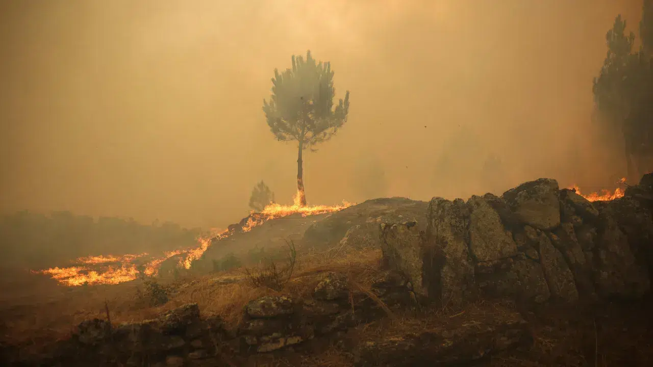Fire in Lousã is a concern in the areas of Mata do Sobral and Ribeira de São João.