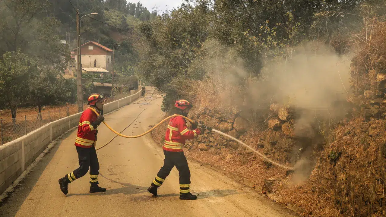 Fire in Lousã keeps active front in Ribeira de São João: "Complicated"