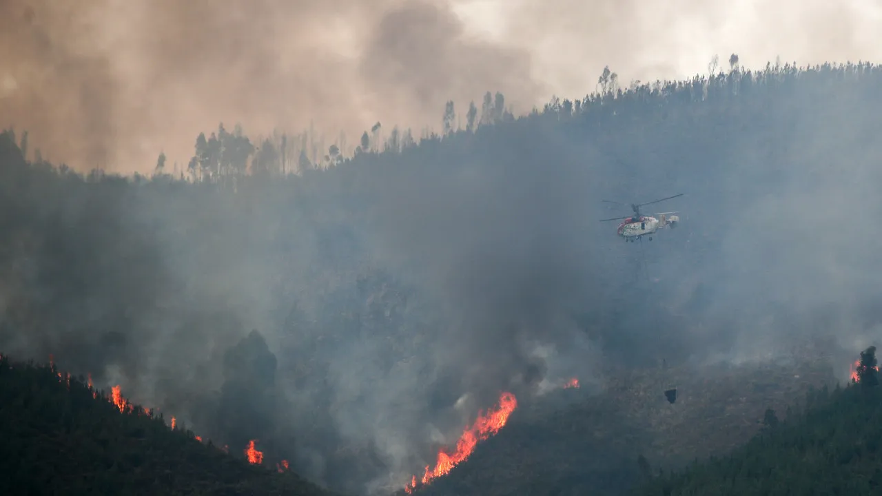 Fire in Montalegre brought under control