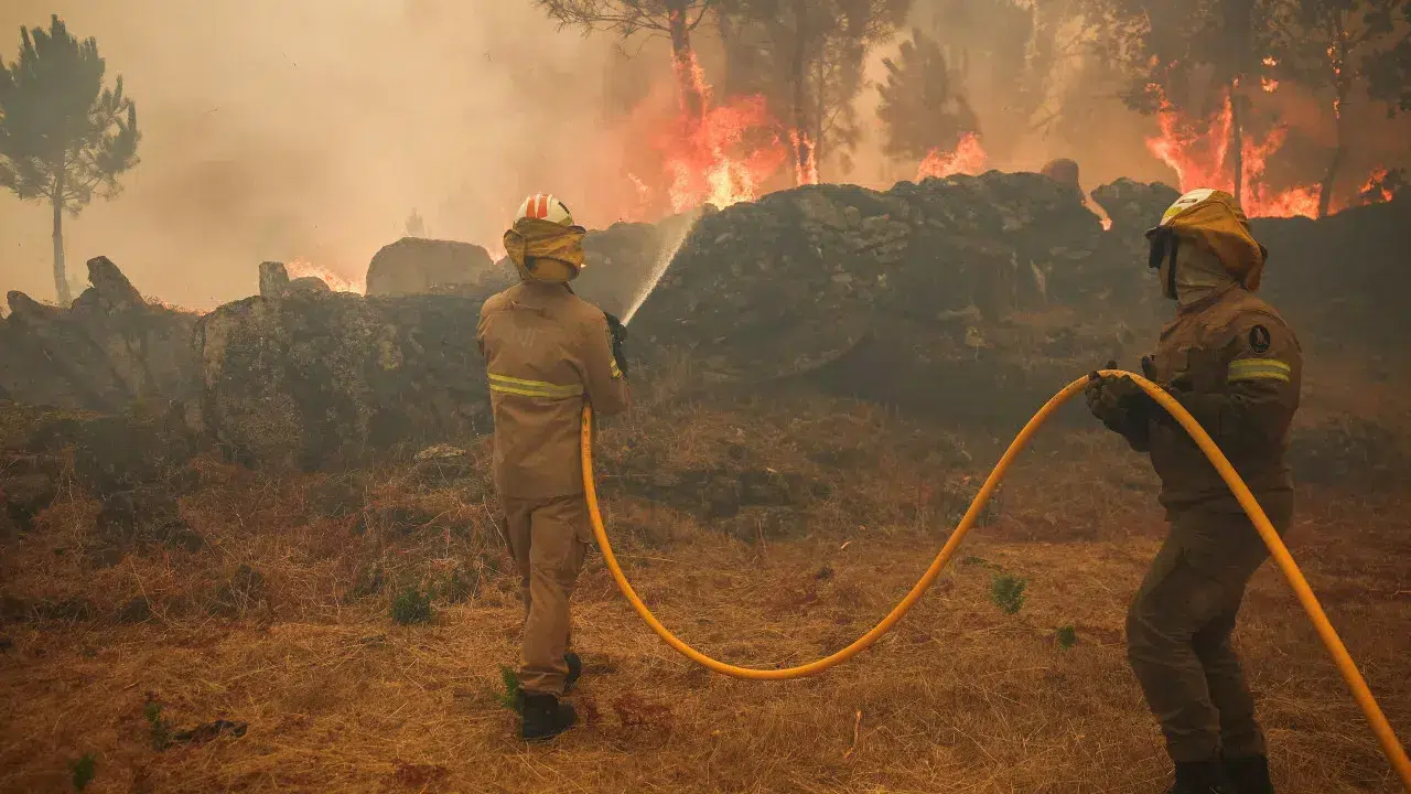 Fire in Pampilhosa da Serra descends to the river and there are no villages in danger