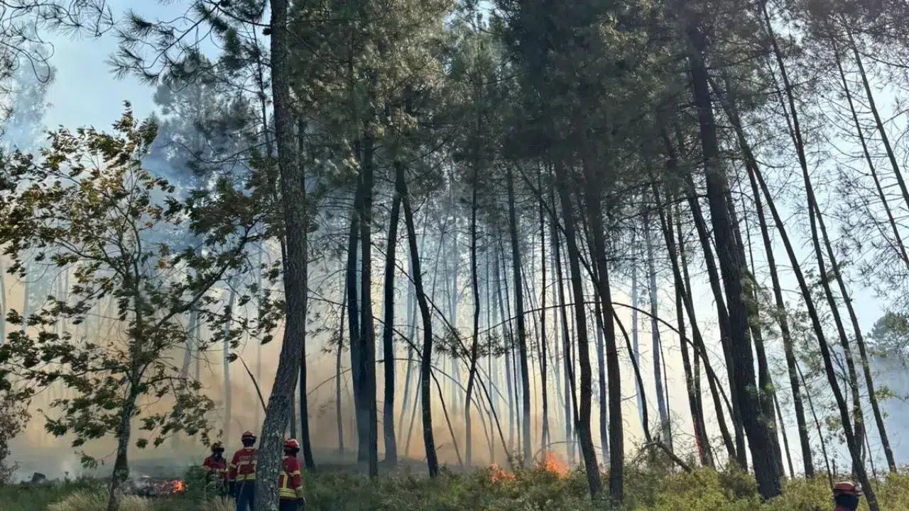 Fire in Pampilhosa da Serra with no active front, but with hot spots