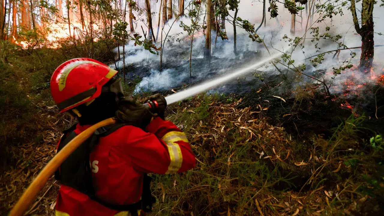 Fire in Pampilhosa da Serra "without significant developments"