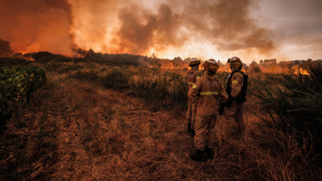 Fire in Sabrosa: "There are hot spots, we don't have active fire"