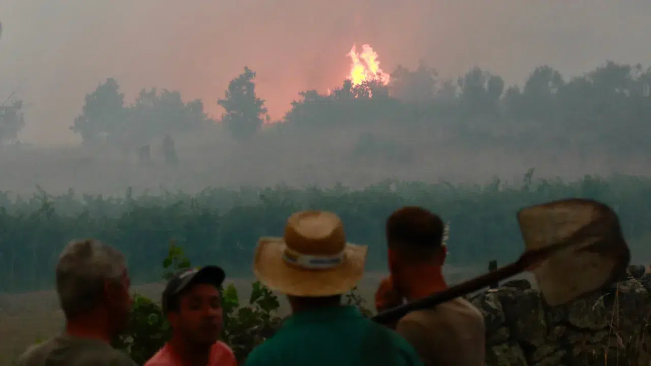 Fire in Sátão and Trancoso almost stabilized with a front in Foz Côa