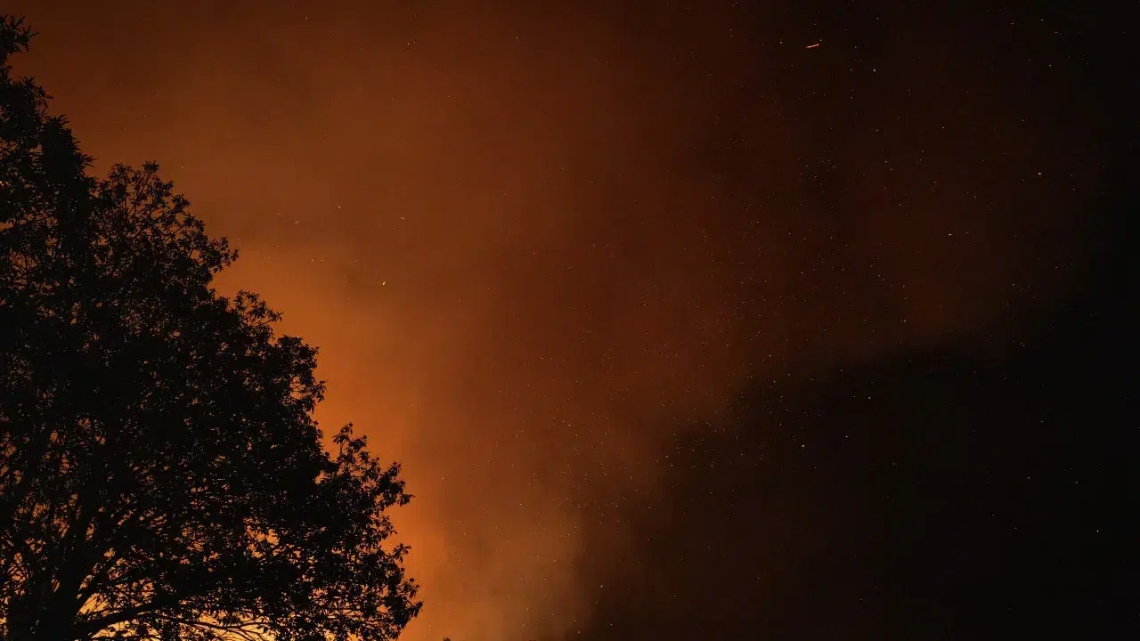 Fire in Seia has already reached the highest parts of Serra da Estrela.