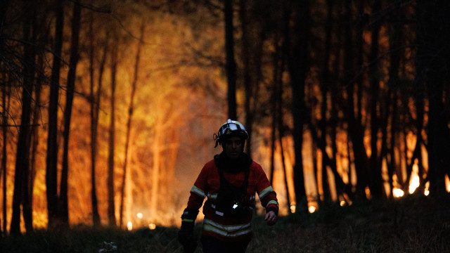 Fire in Siralhelhos in Vila Real burns in pine forest and is the main concern