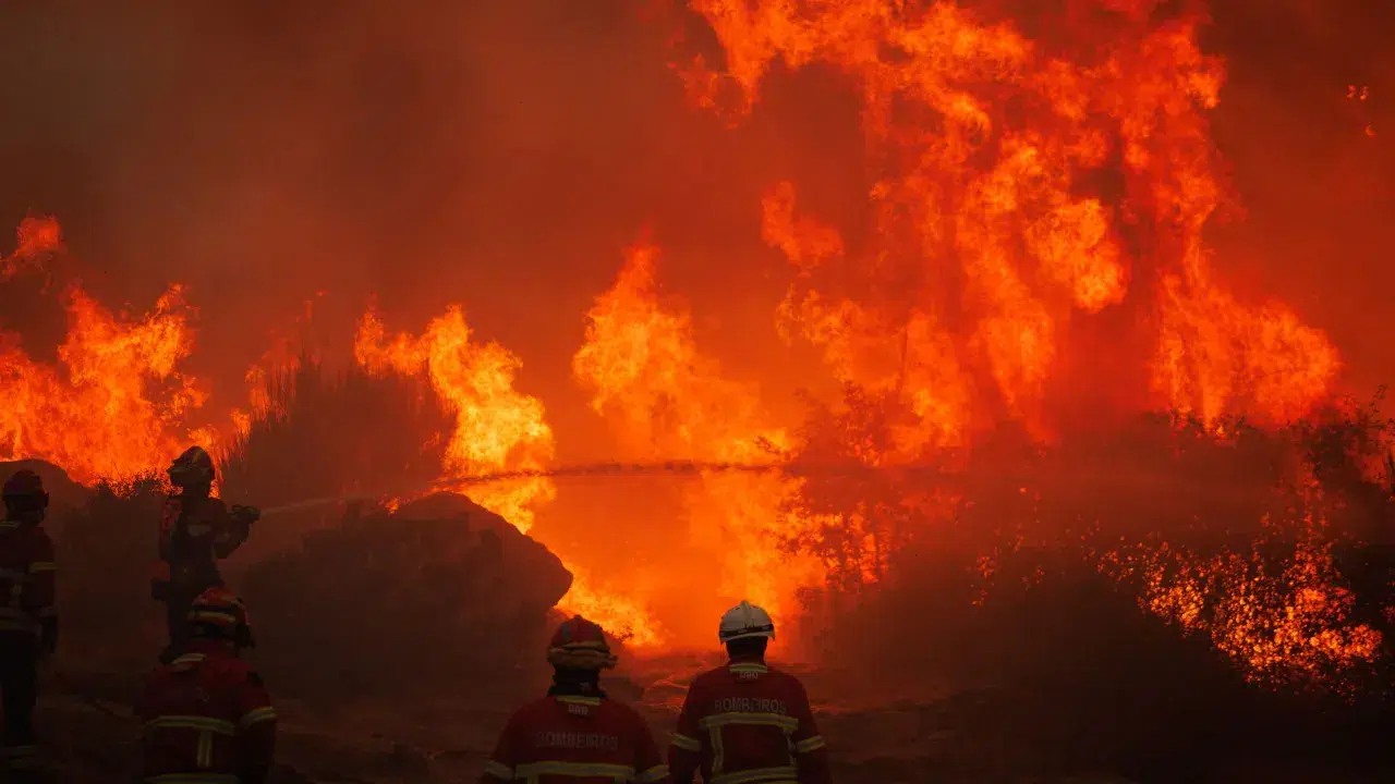 Fire in Sirarelhos reignited with more than 100 men fighting it.