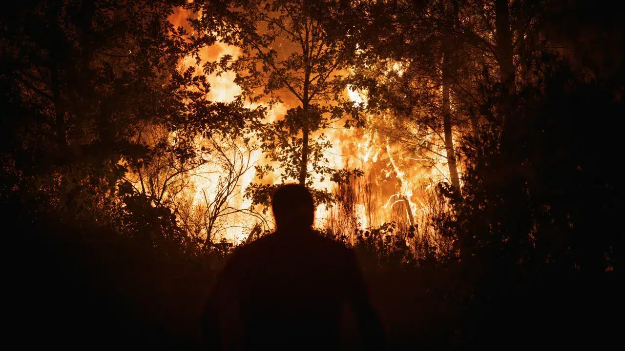 Fire in the Chaves municipality in the aftermath and surveillance phase