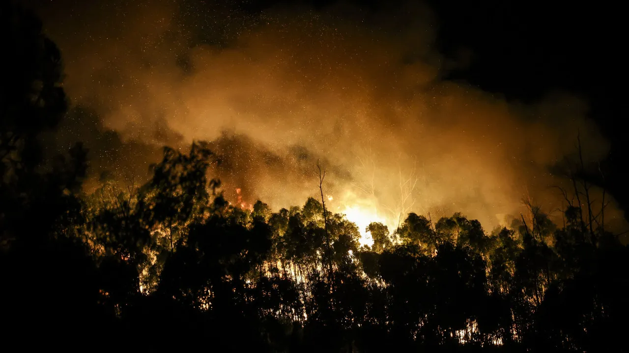 Fire in the municipality of Fafe in the resolution phase