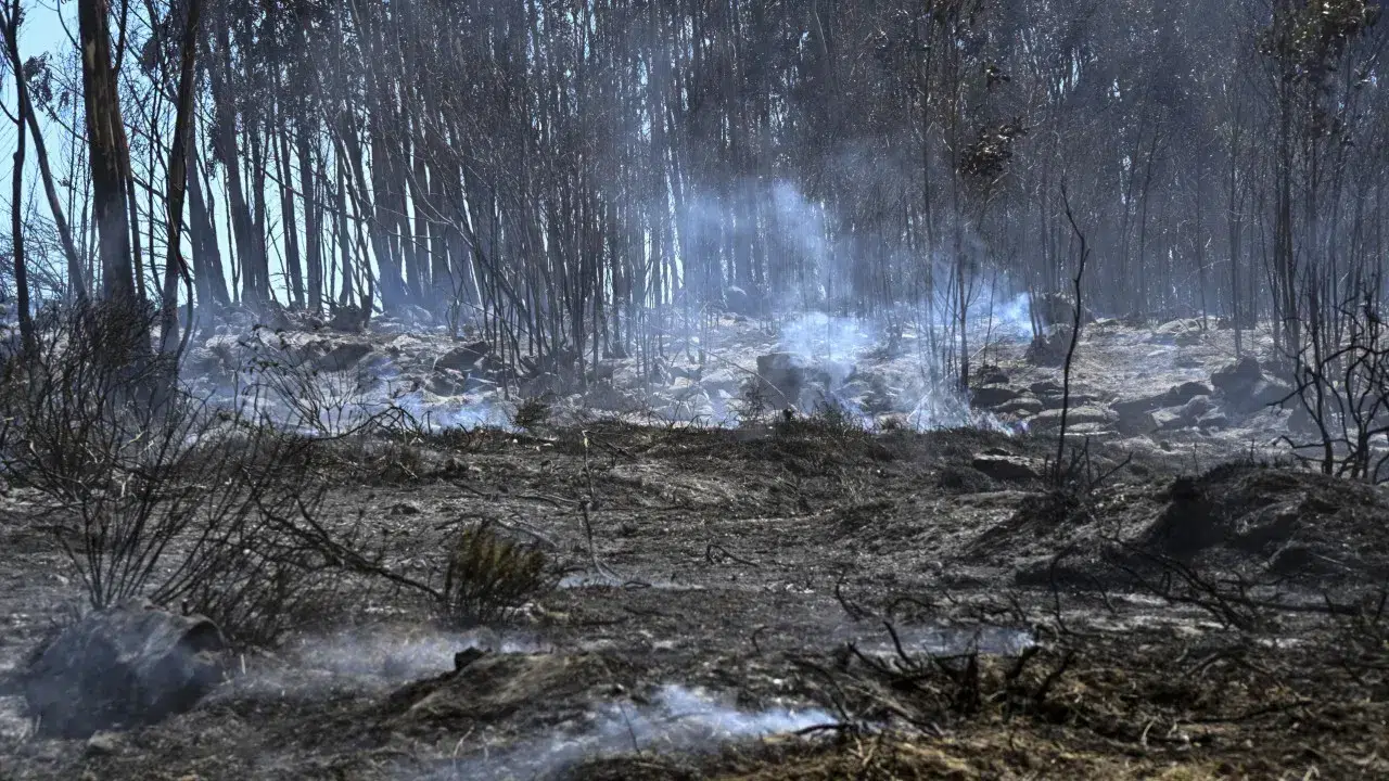 Fire in the Peneda-Gerês National Park "coming to an end"