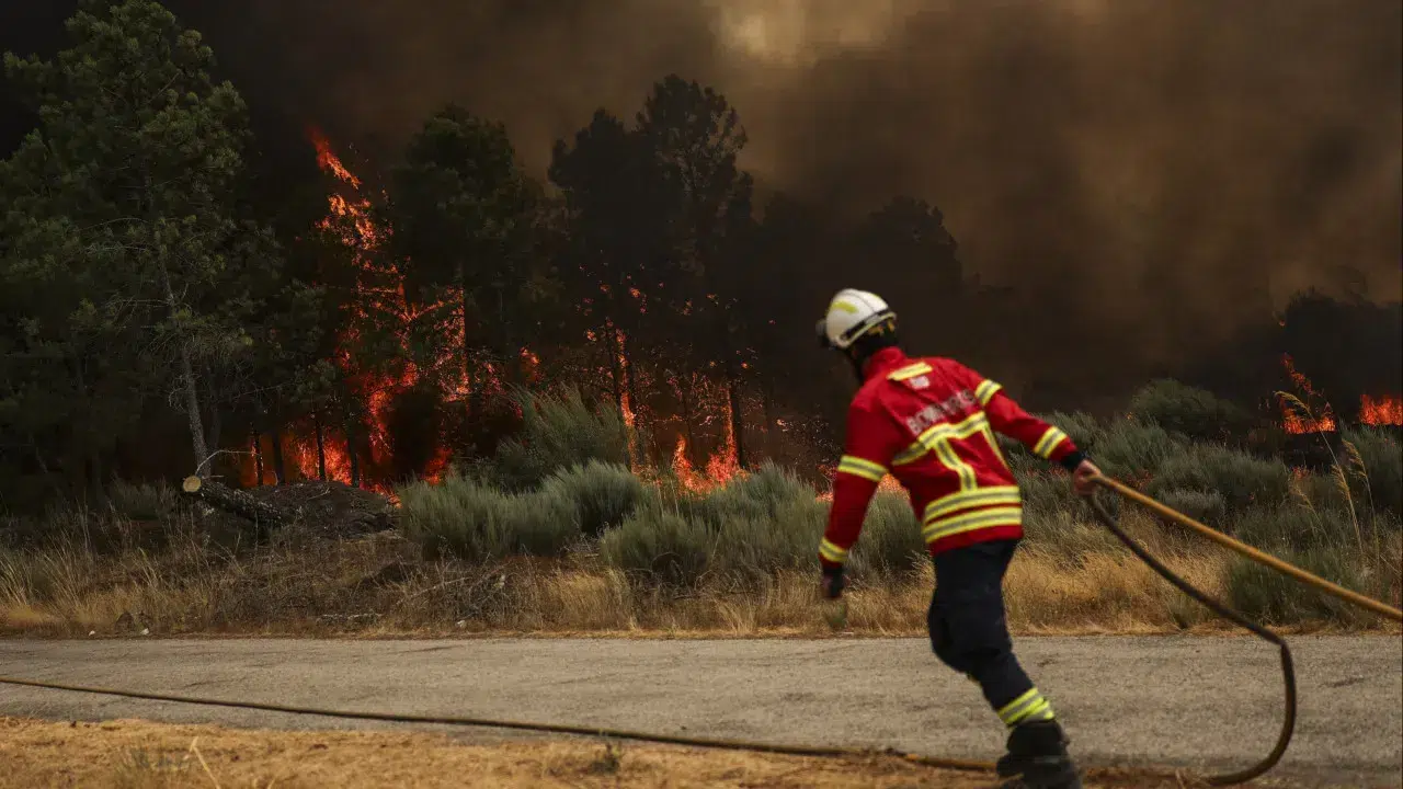 Fire rages intensely in Almeida due to the wind.