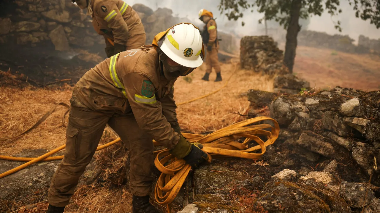 Fire that hit Vila Chã de Sá, in Viseu, was brought under control at 11 p.m.
