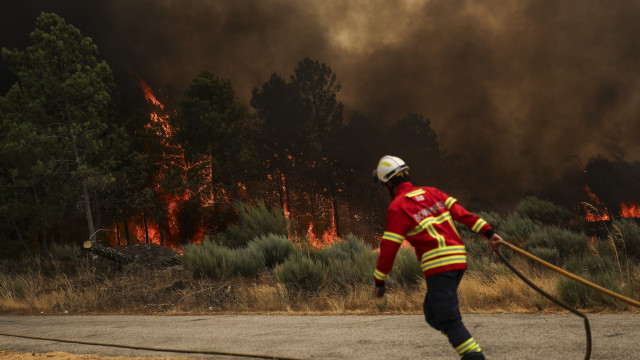 Fire tornado recorded in Aguiar da Beira fire. There is a video.