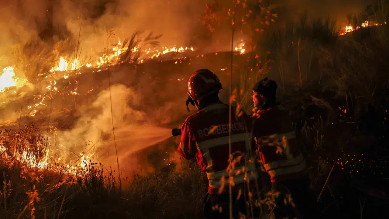 Fire with two fronts in Fornos de Algodres. Situation is "calmer"