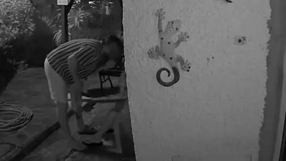Firefighter filmed assaulting woman in Madeira will be heard on Thursday