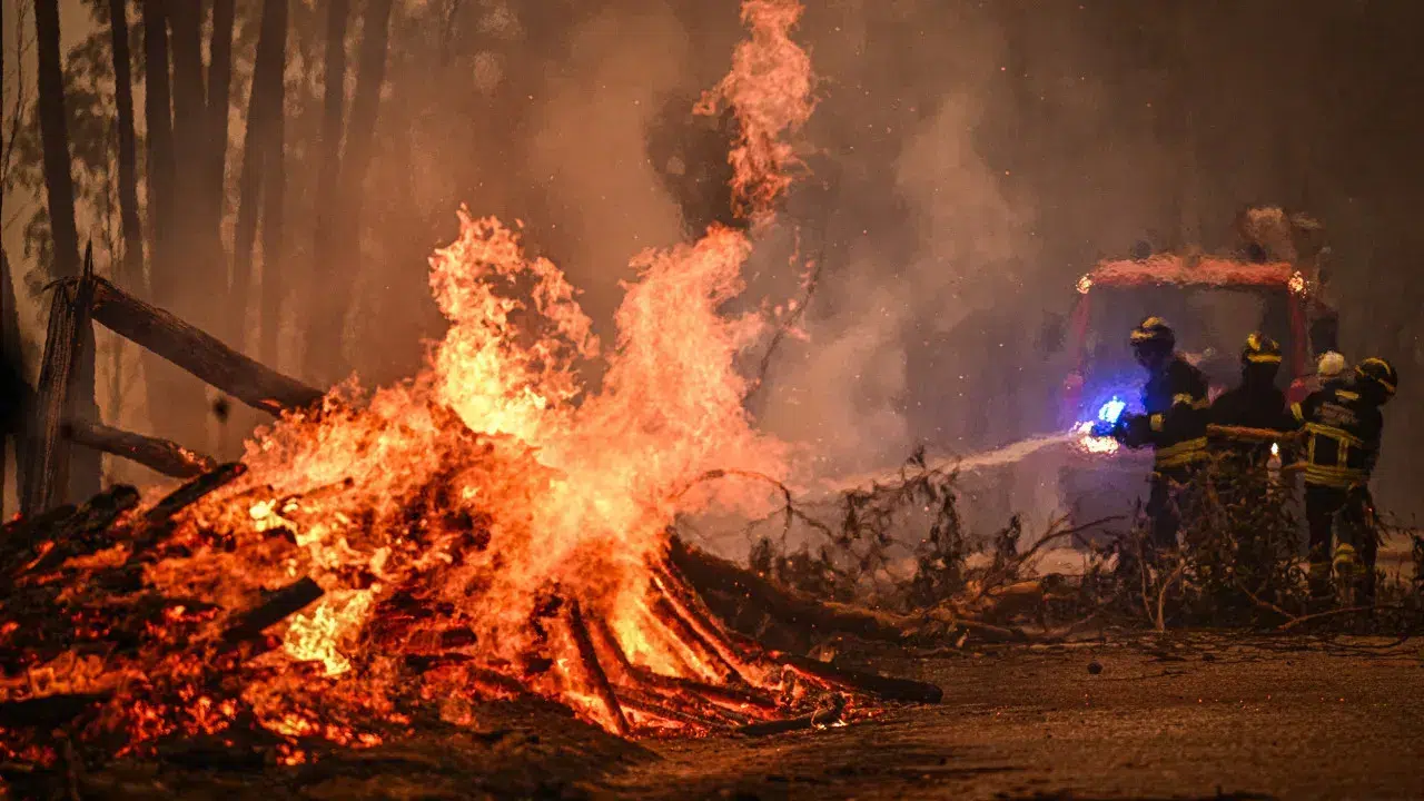 Fires? 36 people caught red-handed this year. Data from GNR