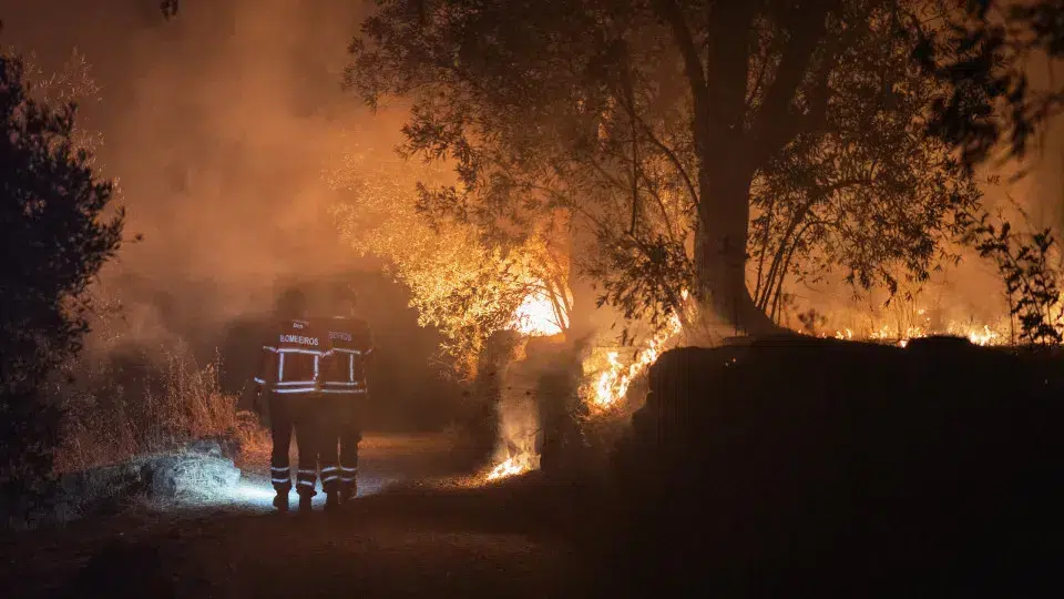 Fires. Council alarmed with millions of euros in damages in Sernancelhe