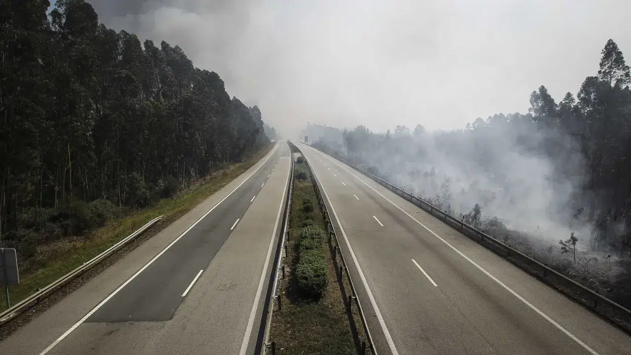 Fires 'cut' traffic on 2 national roads in Viseu and Guarda