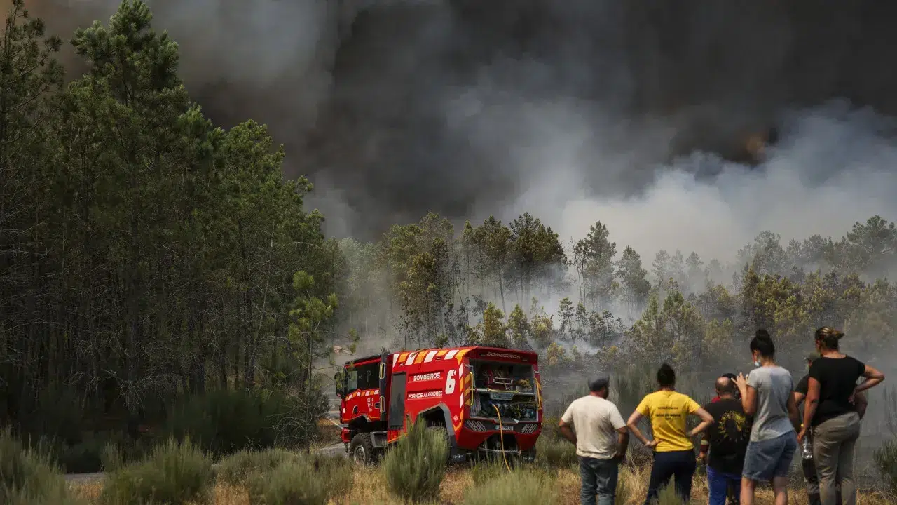 Fires: "Economic impact is profound" and estimates are already available