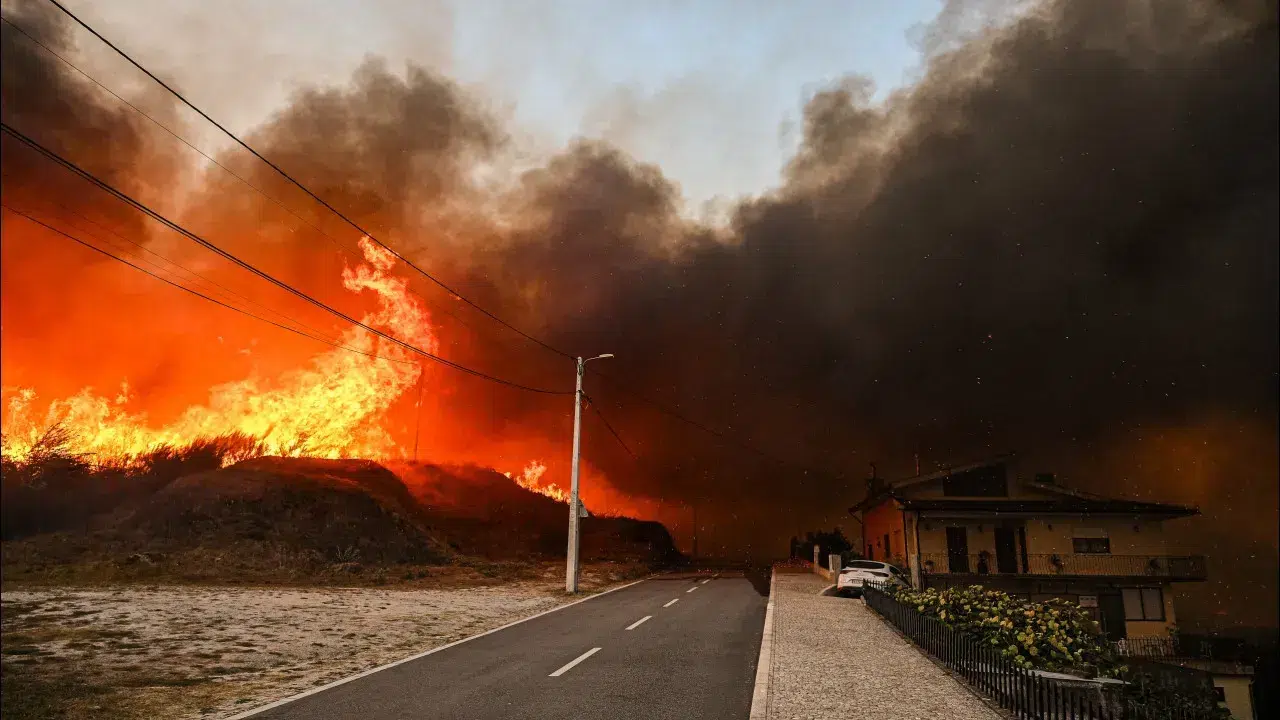 Fires: Fundão provides social and psychological support