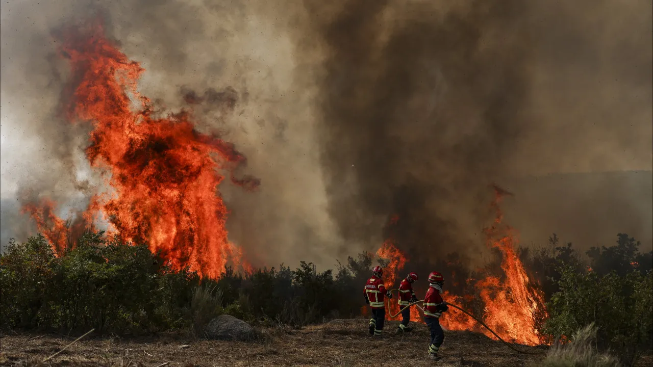 Fires have already consumed 139 thousand hectares, 17 times the area burned in 2024.