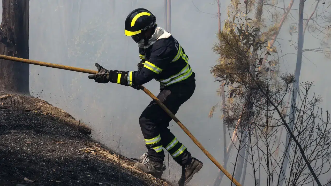 Fires in Pedrógão Grande have already reached Sertã