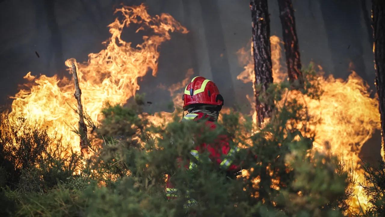 Fires in Vila Real? "It is clearly an attack on our territory"