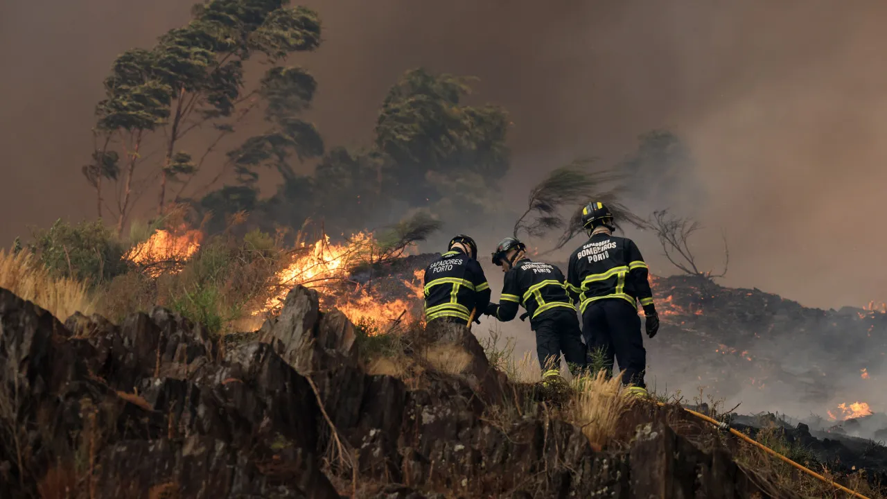 Fires: Majority of Northern, Central, and Algarve districts at maximum risk