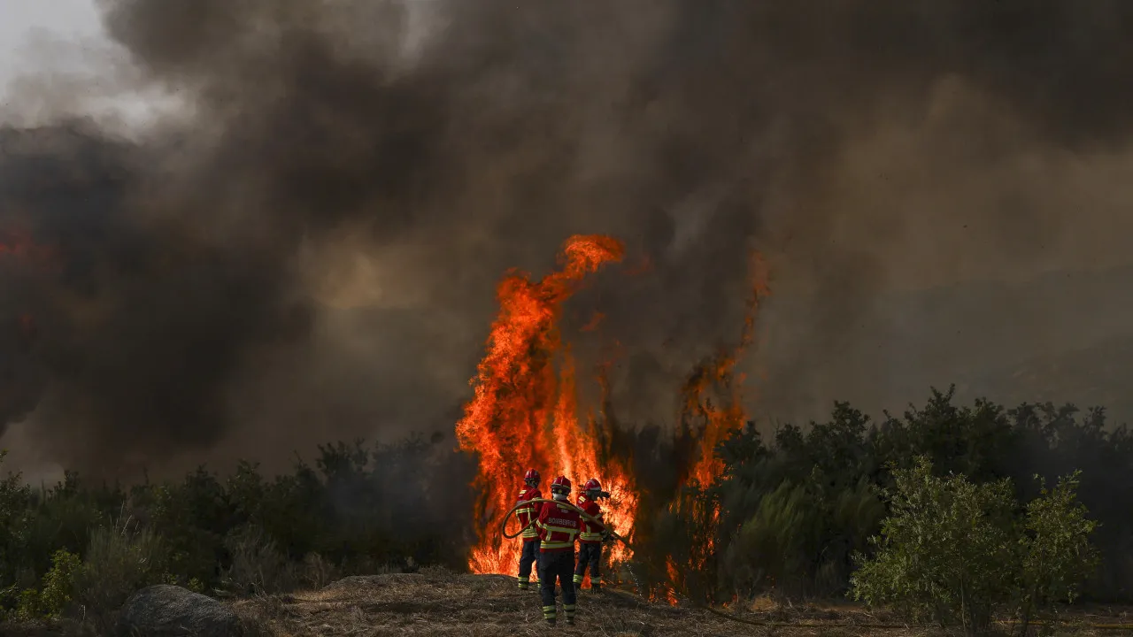 Fires: Mayor of Vila Real once again appeals for reinforcement of resources