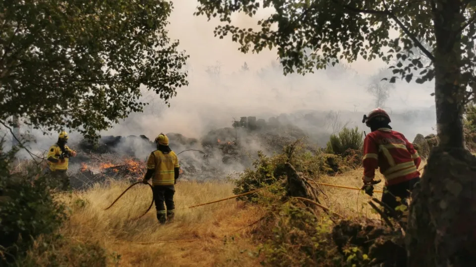 Fires? Minister advocates "special care" in Alvão Natural Park
