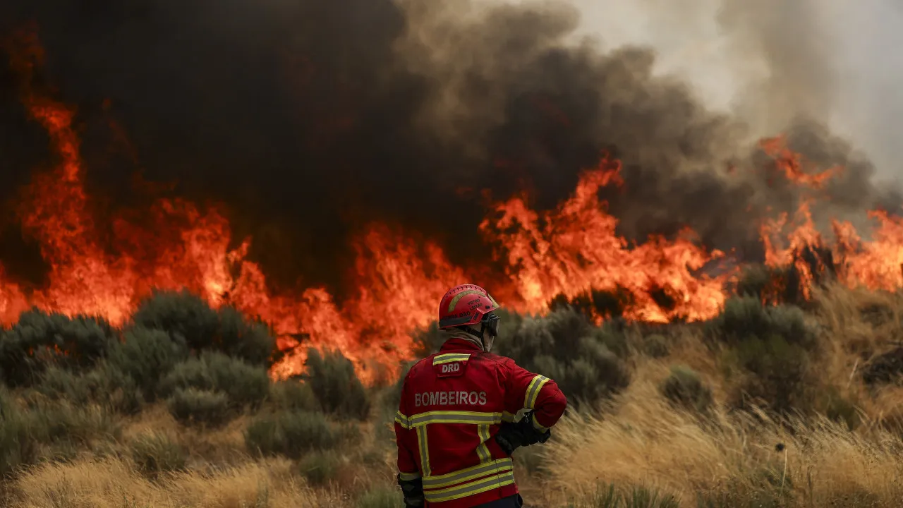Fires: Municipality of Almeida asks citizens to report damages