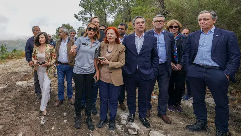 Fires: Ordinance provides for urgent works and the recovery of protected areas