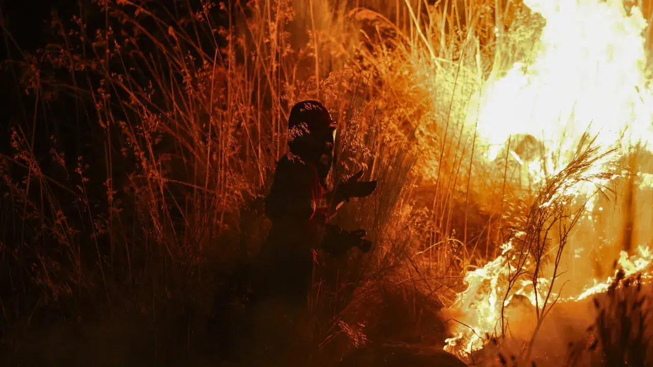 Fires? "Prevention will take ten years to start showing results"