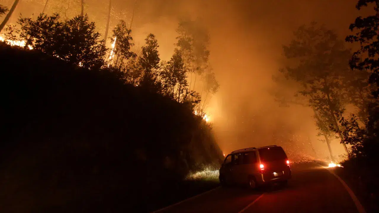 Fires: Sabugal moves forward with a request for a state of calamity