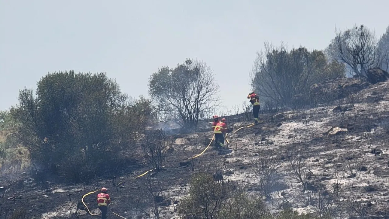 Fires? Serra da Lousã Business Association demands immediate measures
