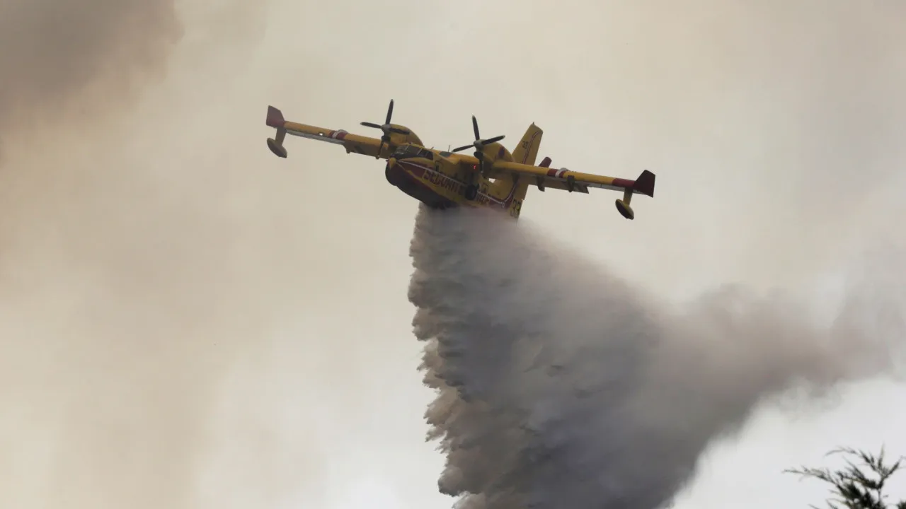 Fires: Swedish planes operated all day in the Sabugal area