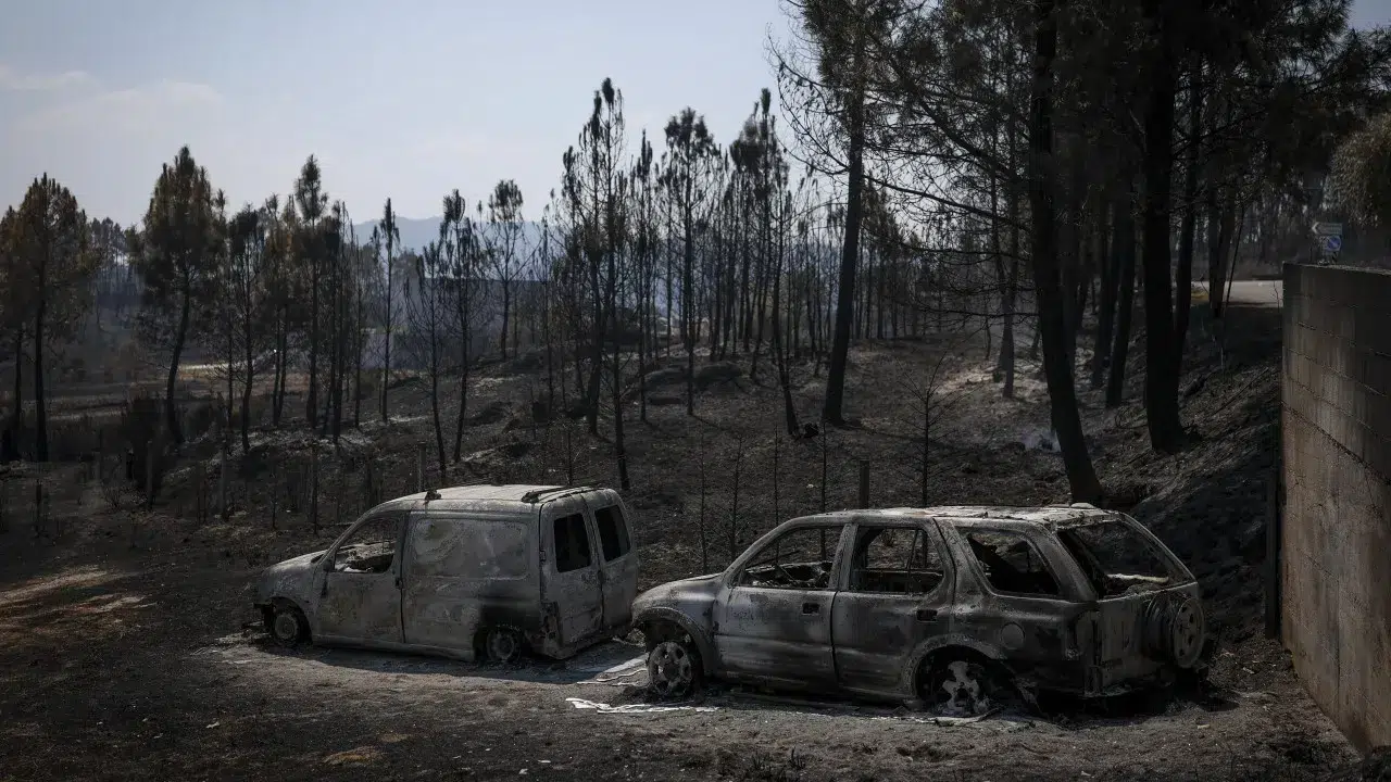 Fires: Two fronts remain active in Covilhã