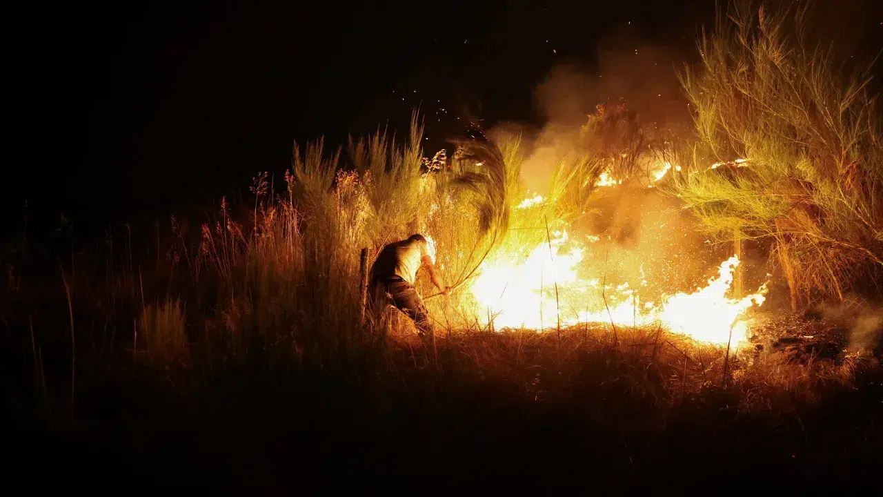 Fires. Viseu with three fronts, but one is starting to give in.