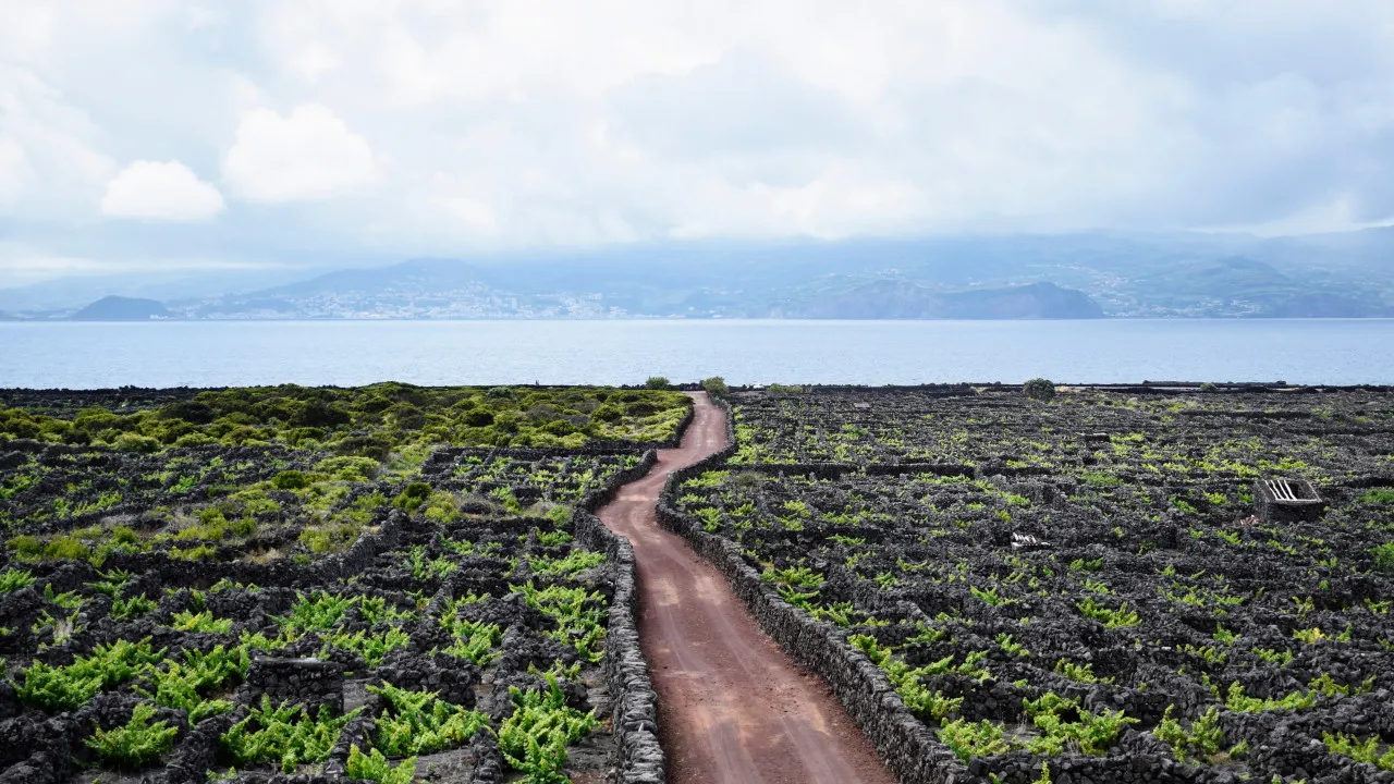 Fisherman "about 60 years old" dies at the port of the Azorean island of Faial