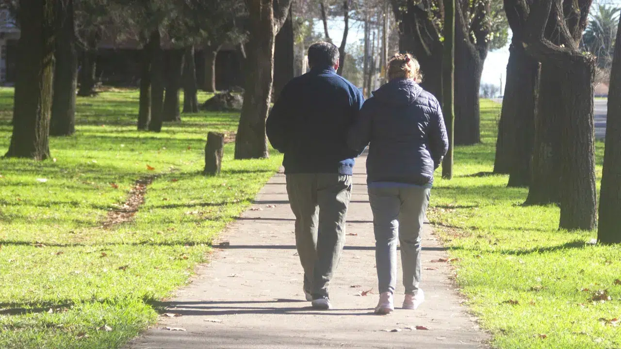 Fixed-term hiring of retirees is an "opportunity," but it is concerning.