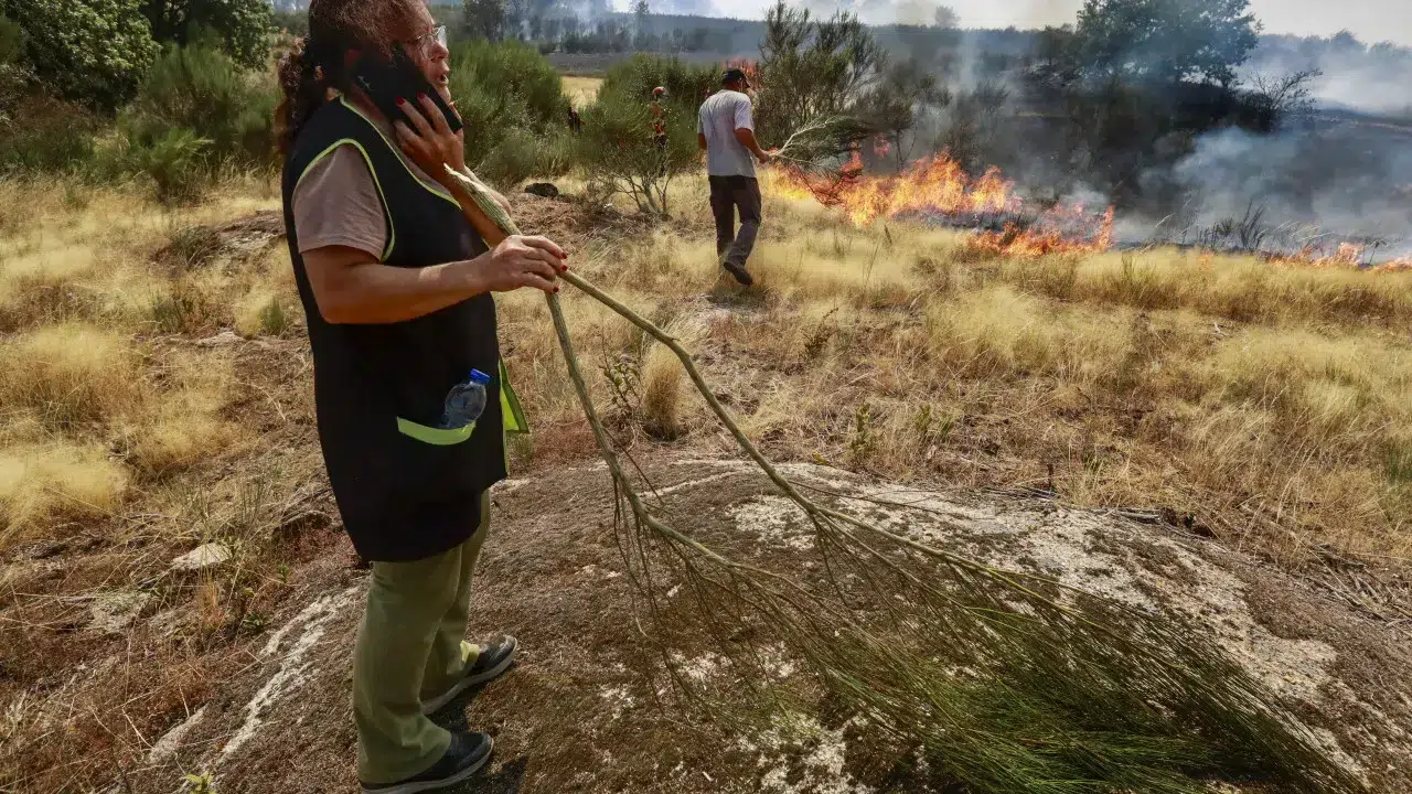 Flames in Trancoso affect four villages. "Confine" or "withdraw"?